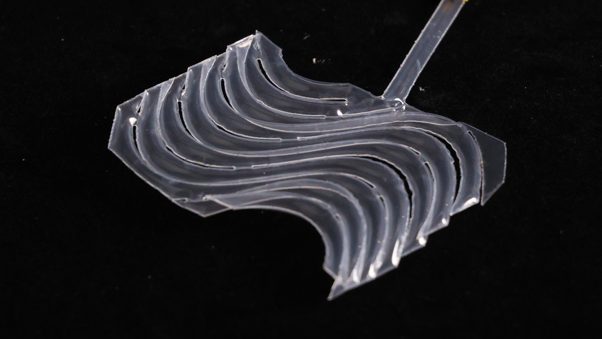 Parallel Wavy Line Surface